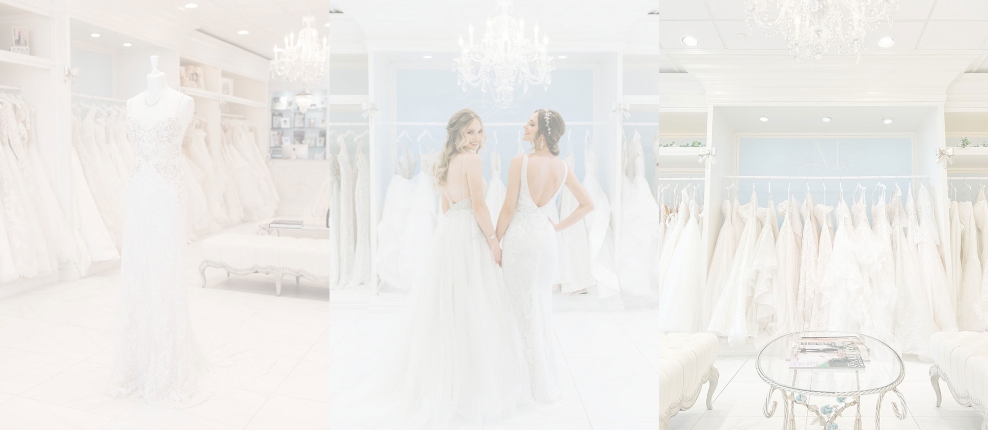 Photo of the models wearing bridal gowns - Desktop Image