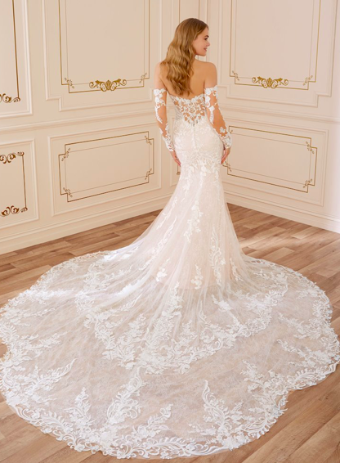 Sophia Tolli Style #Bronte Y22064 #1 thumbnail