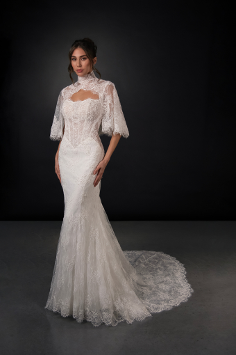 Martina Liana Style #ML2010 #0 default (IV-IVR) Ivory Lace and Tulle over Ivory Gown thumbnail
