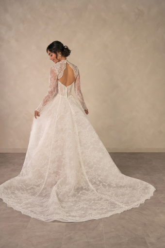 Essense of Australia Style #D4554 #1 (IV-IV) IVORY LACE OVER IVORY GOWN thumbnail