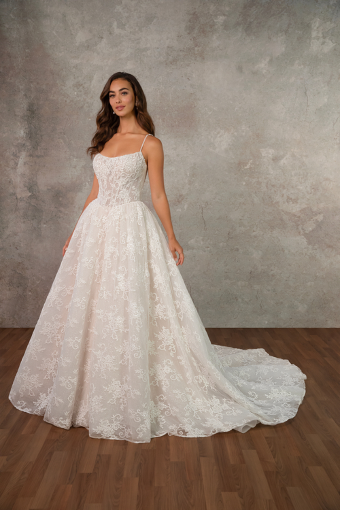 Essense of Australia Style #D4425 #0 default (IV-BC) IVORY LACE TULLE AND ORGANZA OVER BISCOTTI GOWN thumbnail