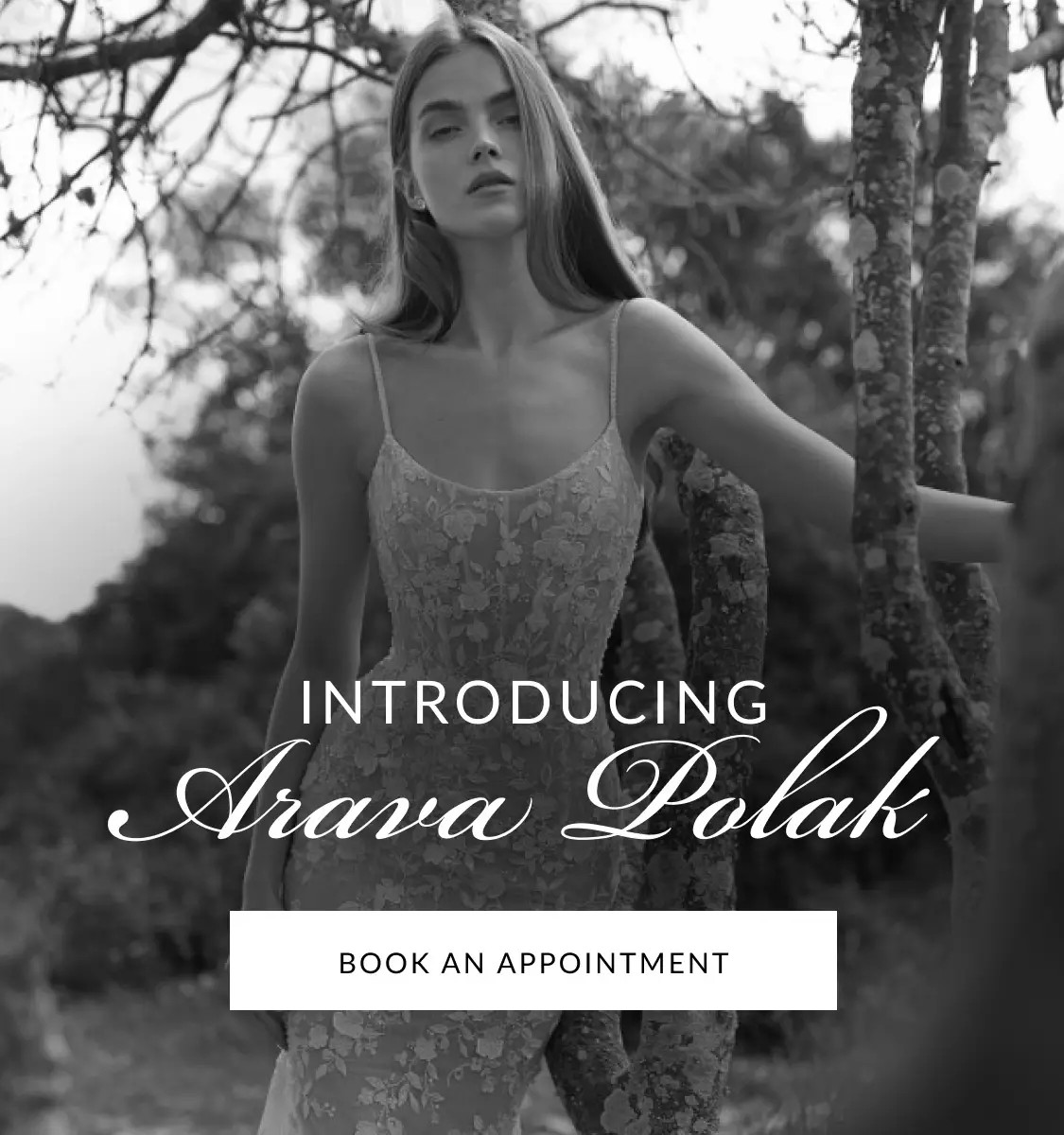 Arava Polak Banner for Mobile